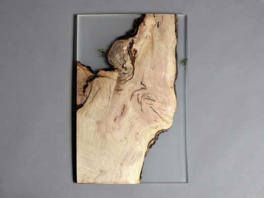 Undergrowth Layer_ Wall Art